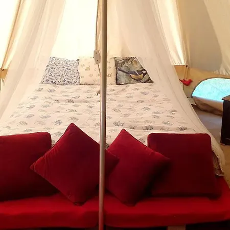 Glamping Malinowy Las *