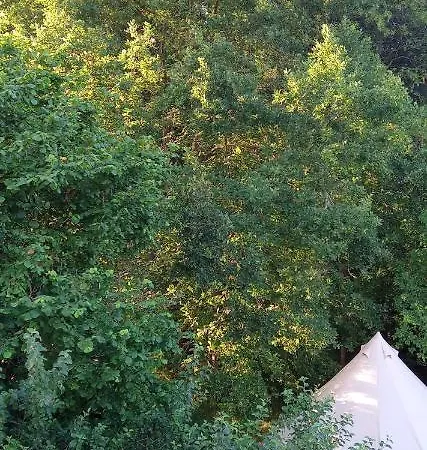 Glamping Malinowy Las